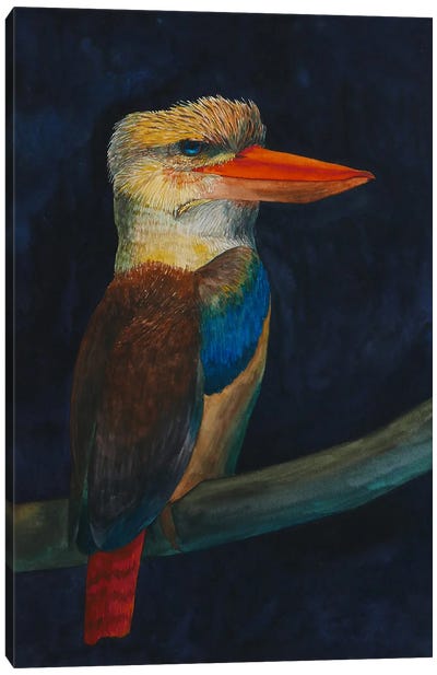 Kookaburra Canvas Art Print - Kookaburras