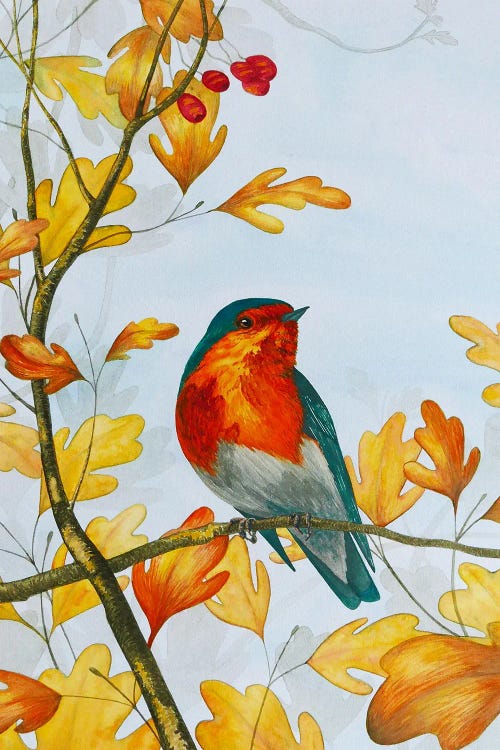Autumn Robin