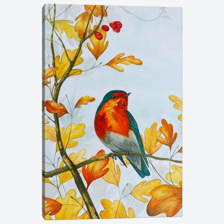 Autumn Robin Canvas Print #KDY1} by Karina Danylchuk Canvas Artwork