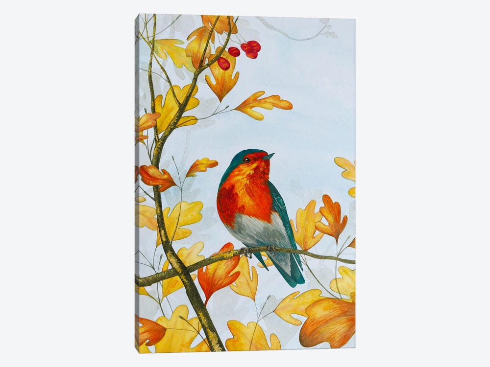 Autumn Robin by Karina Danylchuk 1-piece Canvas Print