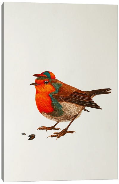 Robin In A Hat Canvas Art Print - Robin Art
