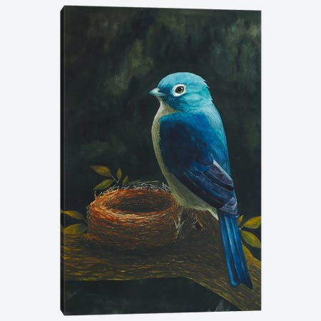 The Bird With The Nest Canvas Print #KDY24} by Karina Danylchuk Canvas Print
