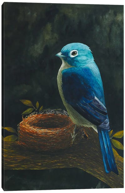The Bird With The Nest Canvas Art Print - Karina Danylchuk