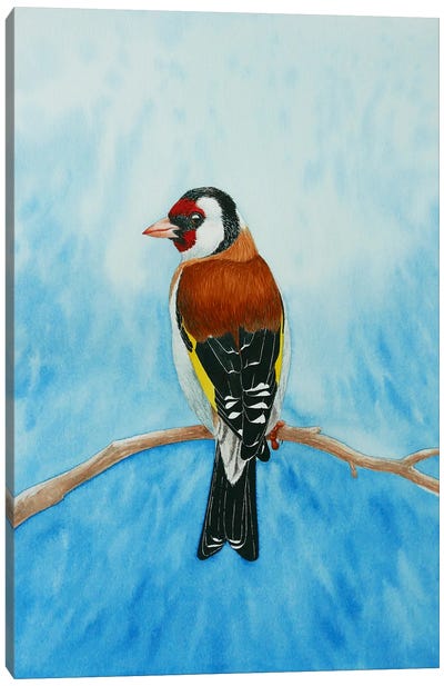Winter Goldfinch Canvas Art Print - Finch Art
