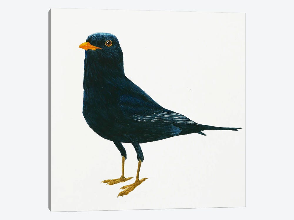 Blackbird Stays by Karina Danylchuk 1-piece Canvas Wall Art