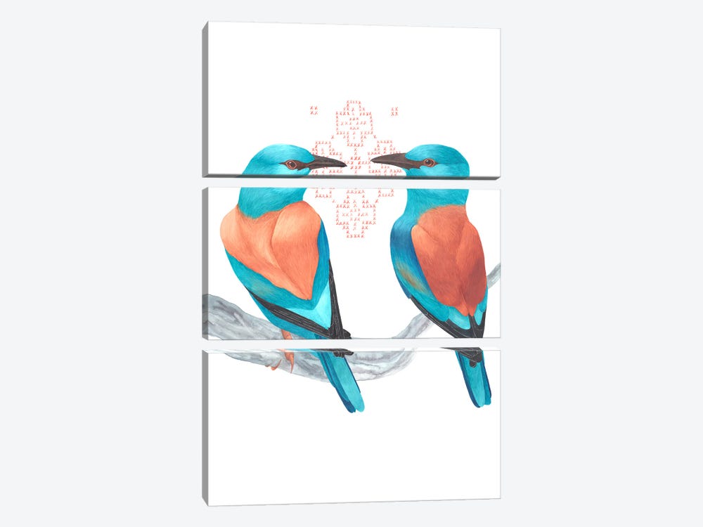 2 European Rollers Reconnect by Karina Danylchuk 3-piece Art Print