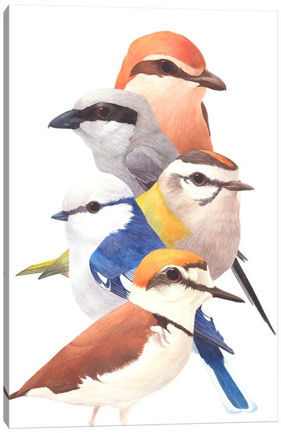 5 Birds Canvas Art Print - Self-Taught Women Artists