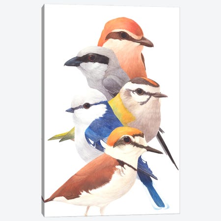 5 Birds Canvas Print #KDY38} by Karina Danylchuk Canvas Art Print