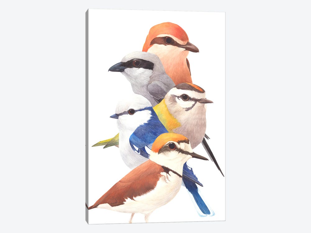 5 Birds by Karina Danylchuk 1-piece Canvas Art