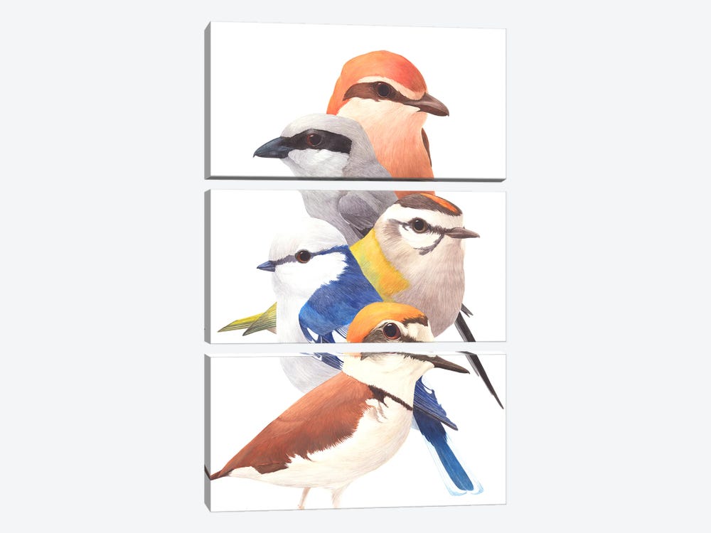 5 Birds by Karina Danylchuk 3-piece Canvas Art