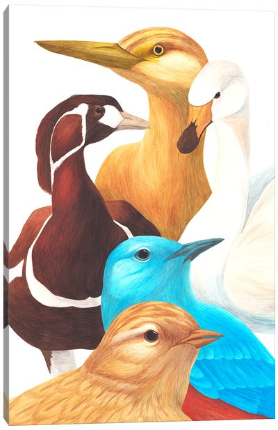 Another 5 Birds Canvas Art Print - Duck Art