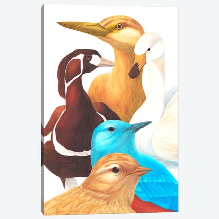Another 5 Birds Canvas Print #KDY40} by Karina Danylchuk Canvas Art