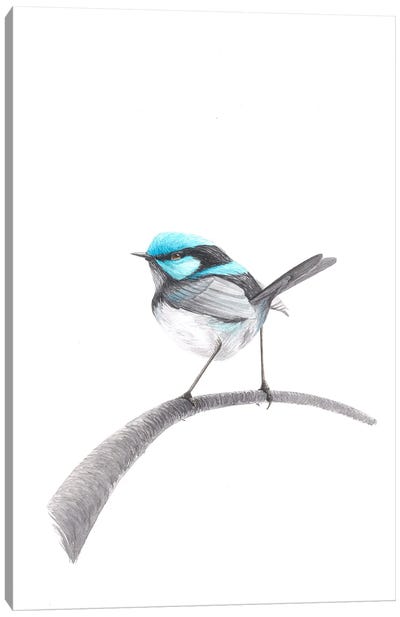 Inspired Bird Canvas Art Print - Karina Danylchuk