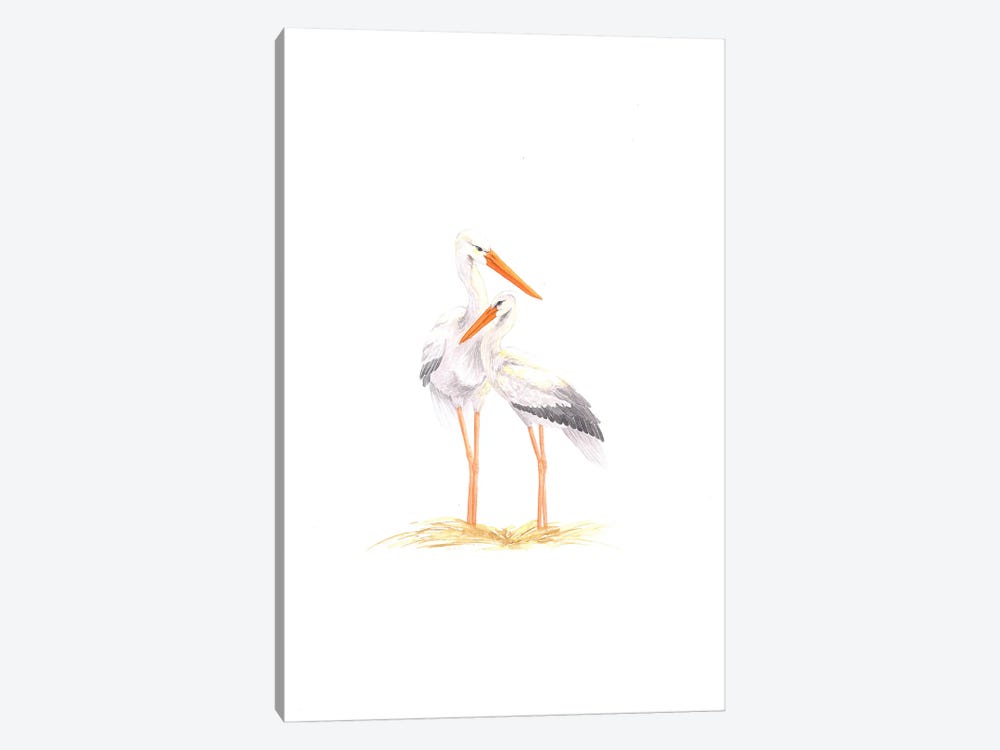 Mother And Baby Storks by Karina Danylchuk 1-piece Canvas Wall Art