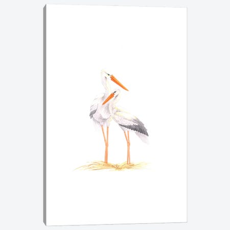 Mother And Baby Storks Canvas Print #KDY50} by Karina Danylchuk Art Print