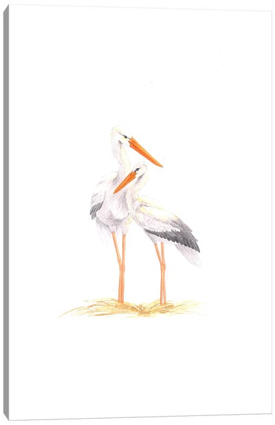 Mother And Baby Storks Canvas Art Print - Stork Art