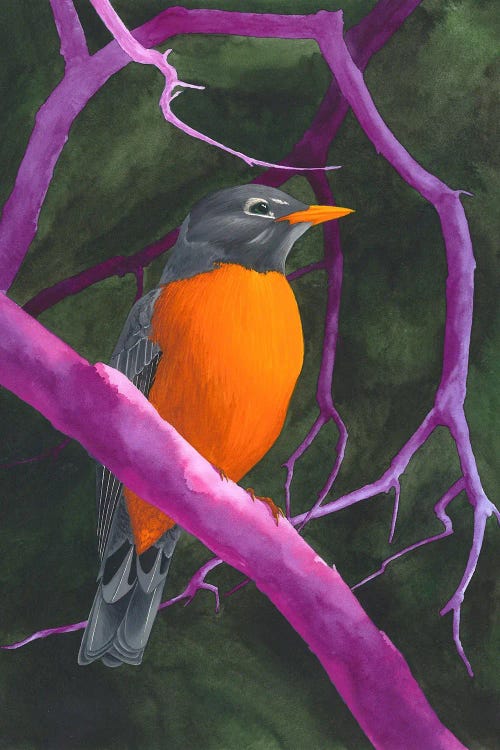 Orange Violet Bird