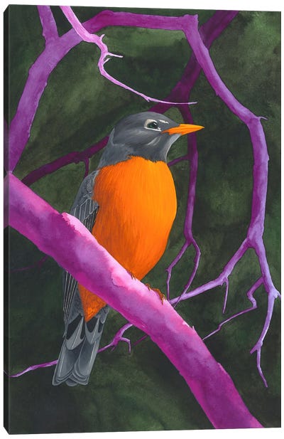 Orange Violet Bird Canvas Art Print - Robin Art