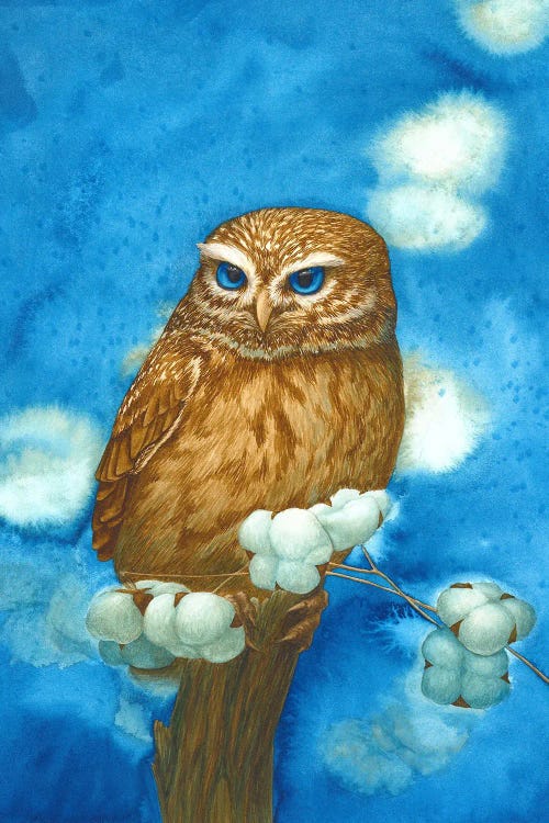 Owl With Cotton