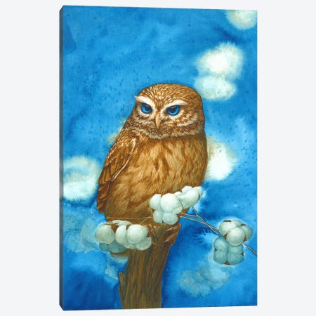 Owl With Cotton Canvas Print #KDY53} by Karina Danylchuk Canvas Print
