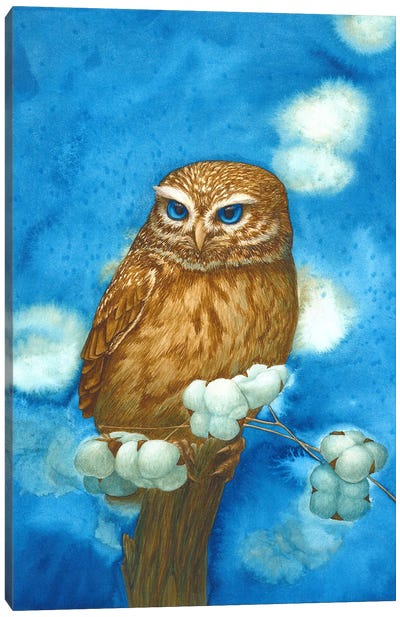 Owl With Cotton Canvas Art Print - Karina Danylchuk