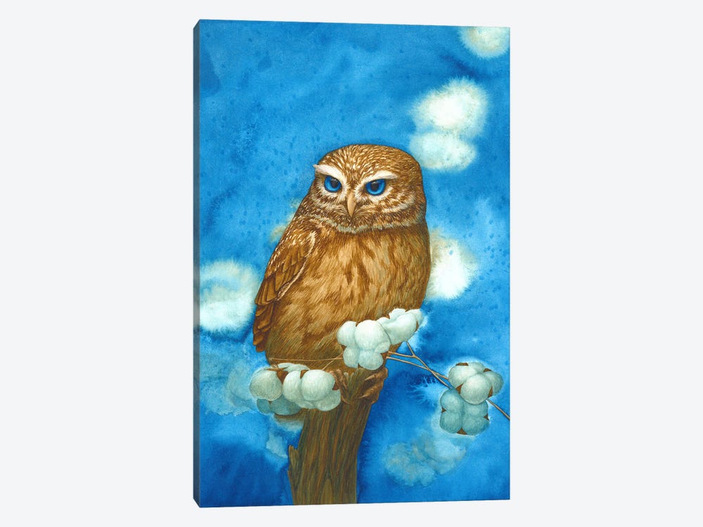 Owl With Cotton by Karina Danylchuk 1-piece Canvas Art Print
