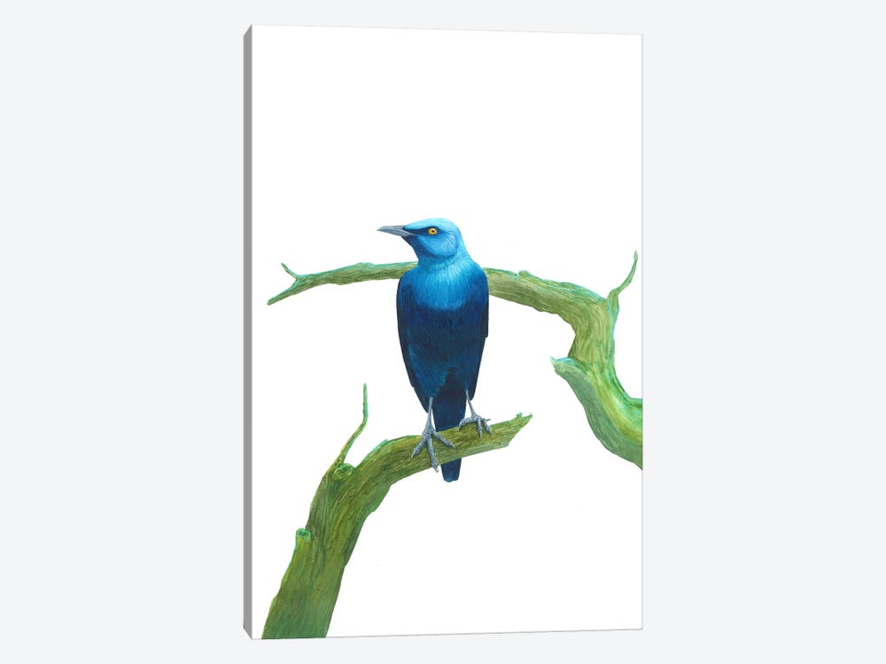 Serious Blue Bird On Branch by Karina Danylchuk 1-piece Art Print