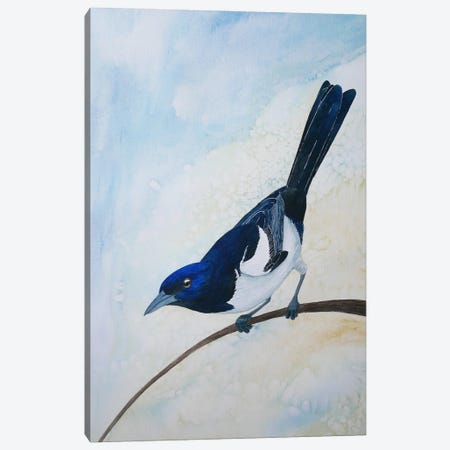 Blue And Yellow Magpie Canvas Print #KDY58} by Karina Danylchuk Canvas Art Print