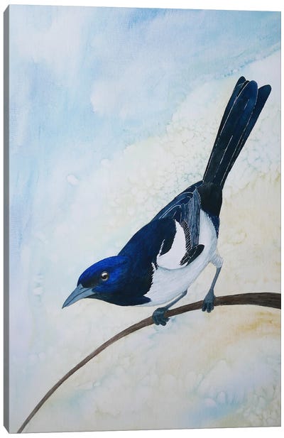 Blue And Yellow Magpie Canvas Art Print - Karina Danylchuk