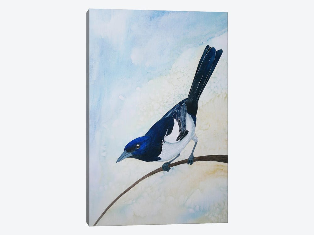 Blue And Yellow Magpie by Karina Danylchuk 1-piece Canvas Wall Art