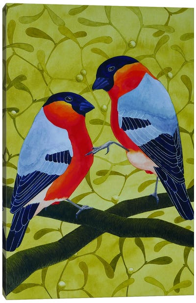 Bullfinches Canvas Art Print - Karina Danylchuk