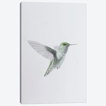 Humming Bird In Flight Canvas Print #KDY61} by Karina Danylchuk Canvas Wall Art