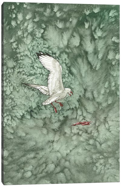 Green Lake Stern With Rubbish Canvas Art Print - Gull & Seagull Art