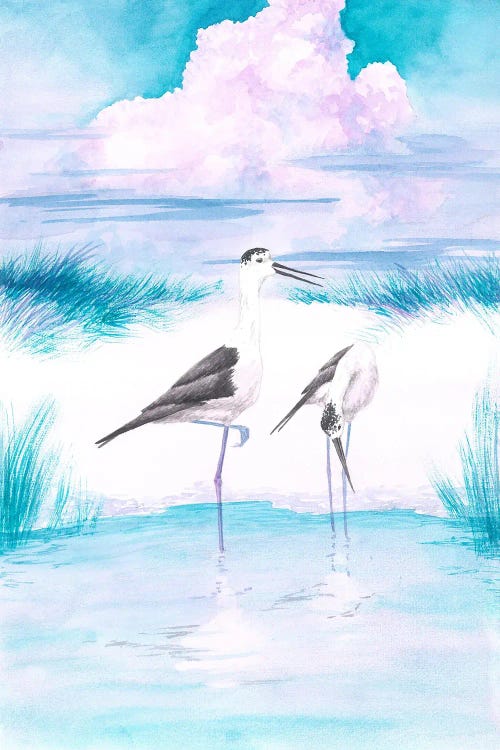 Black Winget Stilt And Pink Sunset