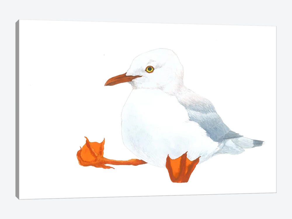 Kiddo Gull by Karina Danylchuk 1-piece Canvas Artwork