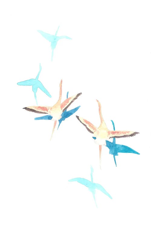 Flying Flamingoes