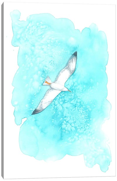 Flying Gull Canvas Art Print - Gull & Seagull Art