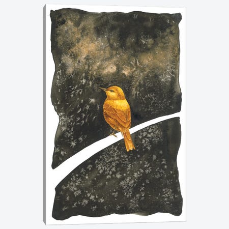 Golden Bird Dreaming Canvas Print #KDY88} by Karina Danylchuk Canvas Wall Art