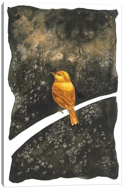 Golden Bird Dreaming Canvas Art Print - Karina Danylchuk