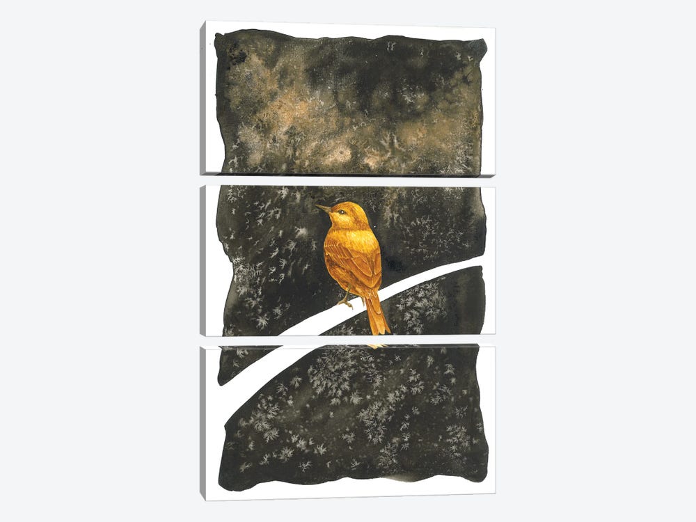 Golden Bird Dreaming by Karina Danylchuk 3-piece Art Print
