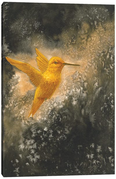 Golden Bird Hummingbird In Flight Canvas Art Print - Karina Danylchuk