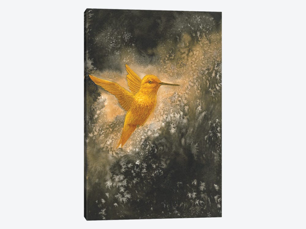 Golden Bird Hummingbird In Flight by Karina Danylchuk 1-piece Canvas Art