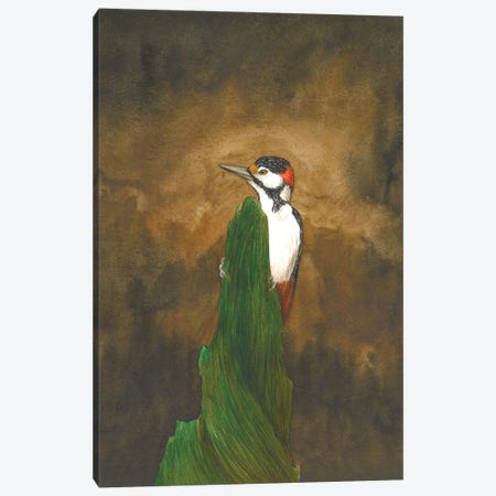 Woodpecker In The Forest Canvas Print #KDY97} by Karina Danylchuk Canvas Wall Art