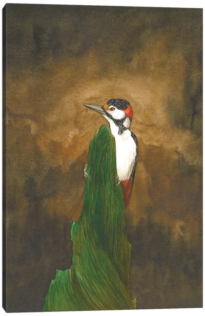 Woodpecker In The Forest Canvas Art Print - Woodpecker Art