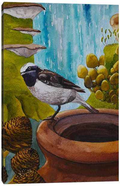 Hidden Place Canvas Art Print - Sparrow Art