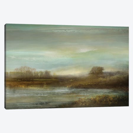 Mist On The Pond Canvas Print #KEC4} by Kelly Corbin Art Print