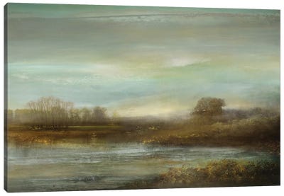 Mist On The Pond Canvas Art Print