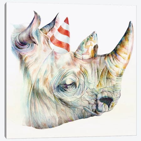 Rhino's Birthday Canvas Print #KEE11} by Brandon Keehner Canvas Art