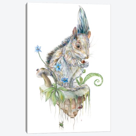 Squirrel Island Canvas Print #KEE12} by Brandon Keehner Canvas Wall Art