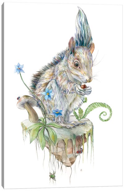 Squirrel Island Canvas Art Print - Art For Dogs 